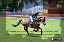 ref. photo 3275755