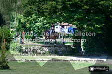 ref. photo 3275818