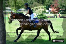 ref. photo 3275822