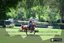 ref. photo 3275861
