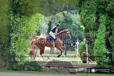 ref. photo 3275882