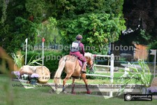 ref. photo 3275902
