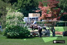 ref. photo 3275928