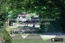 ref. photo 3275934