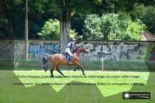 ref. photo 3275946