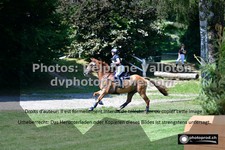 ref. photo 3276052