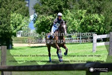 ref. photo 3276080