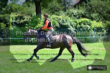 ref. photo 3276104