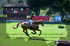ref. photo 3276128