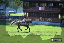 ref. photo 3276131