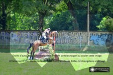 ref. photo 3276183