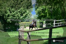 ref. photo 3276200