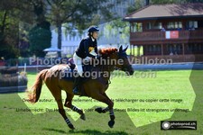 ref. photo 3276240