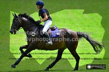 ref. photo 3276350