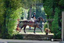 ref. photo 3276403