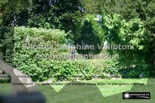 ref. photo 3276445
