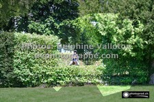 ref. photo 3276965