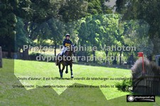 ref. photo 3276972