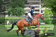 ref. photo 3277000