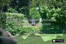 ref. photo 3277002