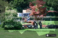ref. photo 3277016