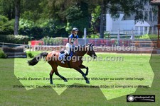 ref. photo 3277018