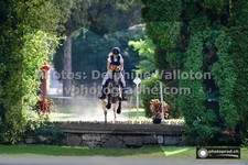 ref. photo 3277081