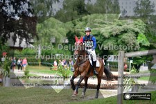 ref. photo 3277112