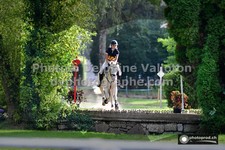 ref. photo 3277133