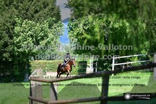 ref. photo 3277338