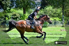 ref. photo 3277341