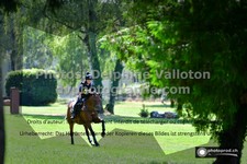 ref. photo 3277342
