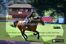 ref. photo 3277343