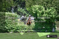 ref. photo 3277349
