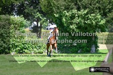 ref. photo 3277350