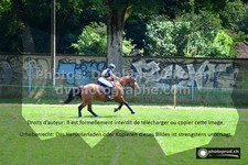 ref. photo 3277422