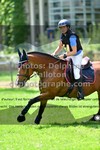 ref. photo 3277434