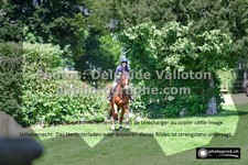 ref. photo 3277551