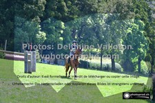 ref. photo 3277556
