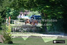 ref. photo 3277568