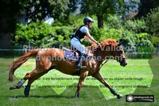 ref. photo 3277619