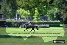 ref. photo 3277655