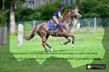 ref. photo 3277671