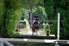 ref. photo 3277776