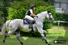 ref. photo 3277811