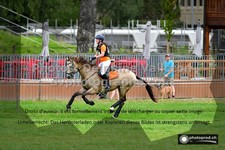 ref. photo 3277830