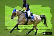 ref. photo 3277900