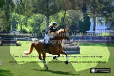 ref. photo 3277916