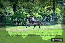 ref. photo 3278018