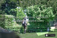 ref. photo 3278020